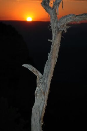 TO THE TOP OF THE CANYON