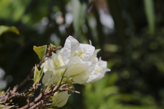 1512fjl04mk9684-copy