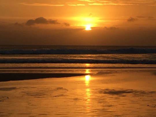 IMG_5960-FullSizeRender